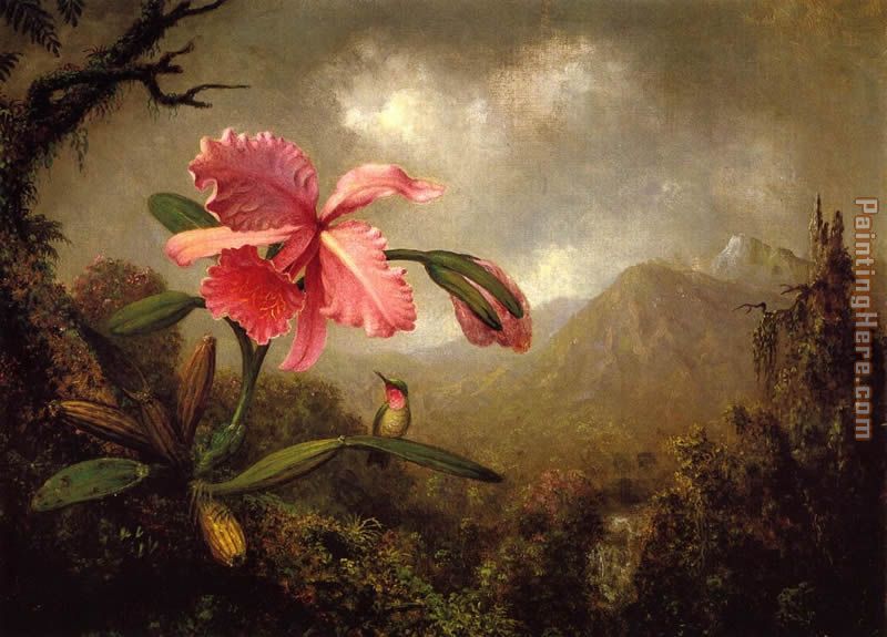 Orchid and Hummingbird near a Mountain Waterfall painting - Martin Johnson Heade Orchid and Hummingbird near a Mountain Waterfall art painting